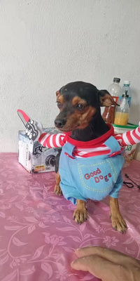 Customer photo 1 for review 2