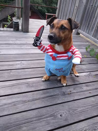 Customer photo 2 for review 4