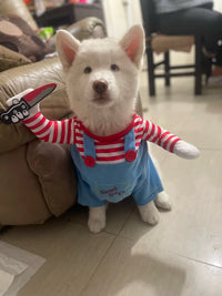 Customer photo 2 for review 1