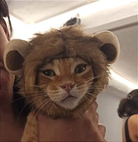 Customer photo 1 for review 1