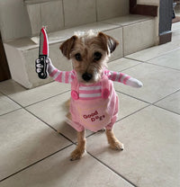 Customer photo 1 for review 3