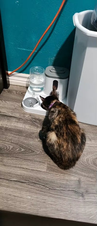 Customer photo 1 for review 3