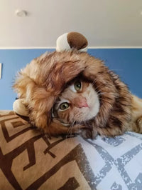 Customer photo 1 for review 4