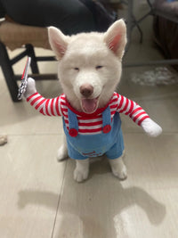 Customer photo 1 for review 1