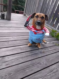 Customer photo 1 for review 4