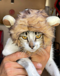 Customer photo 1 for review 3