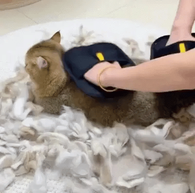 Pet Hair Removal Gloves - Double-Sided for Furniture & Clothes Petneeds Space