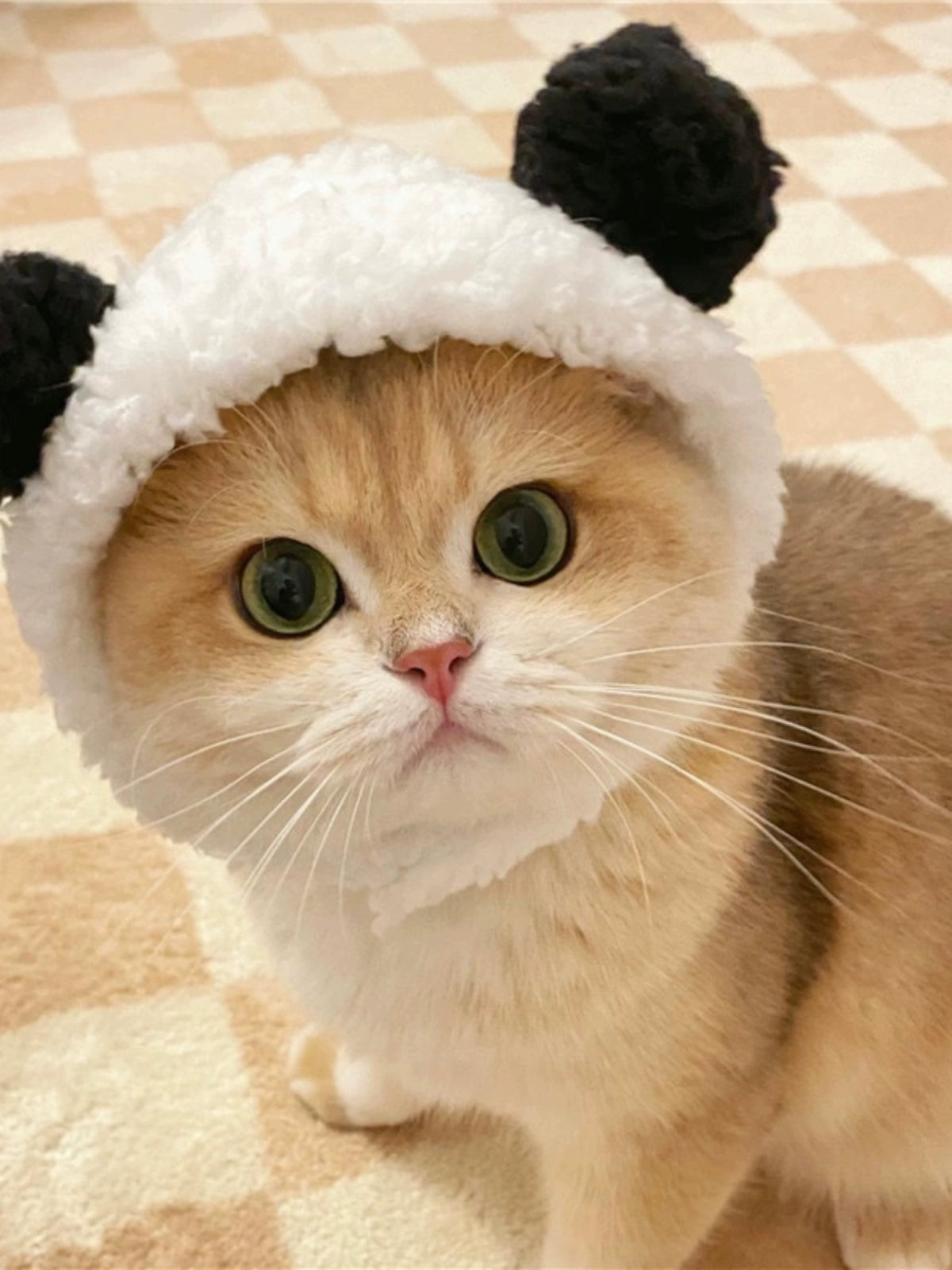 Cat Hat Lion Head Cover Pig Eight Ring Lesser Panda Hat Cute Heattech Winter Decoration Disguise Cap Pet Hat Petneeds Space