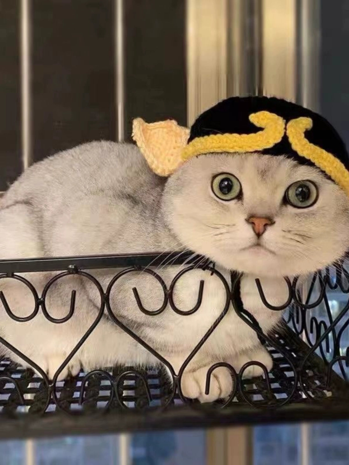 Cat Hat Lion Head Cover Pig Eight Ring Lesser Panda Hat Cute Heattech Winter Decoration Disguise Cap Pet Hat Petneeds Space