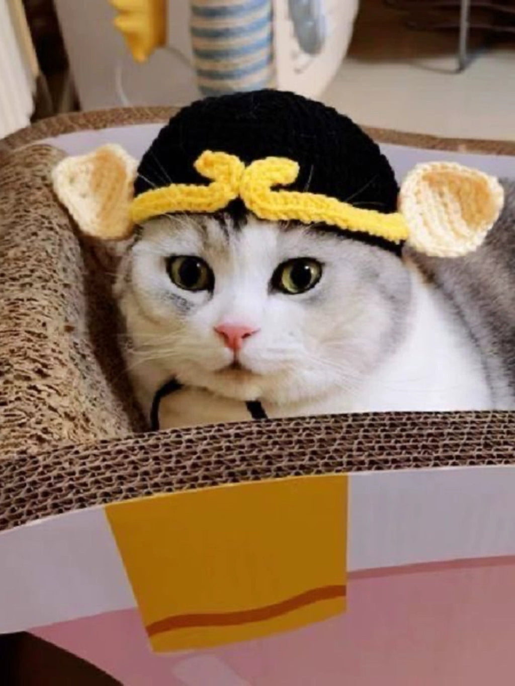 Cat Hat Lion Head Cover Pig Eight Ring Lesser Panda Hat Cute Heattech Winter Decoration Disguise Cap Pet Hat Petneeds Space