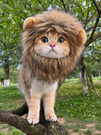 Cat Hat Lion Head Cover Pig Eight Ring Lesser Panda Hat Cute Heattech Winter Decoration Disguise Cap Pet Hat Petneeds Space