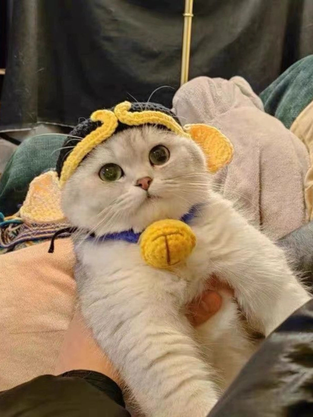 Cat Hat Lion Head Cover Pig Eight Ring Lesser Panda Hat Cute Heattech Winter Decoration Disguise Cap Pet Hat Petneeds Space