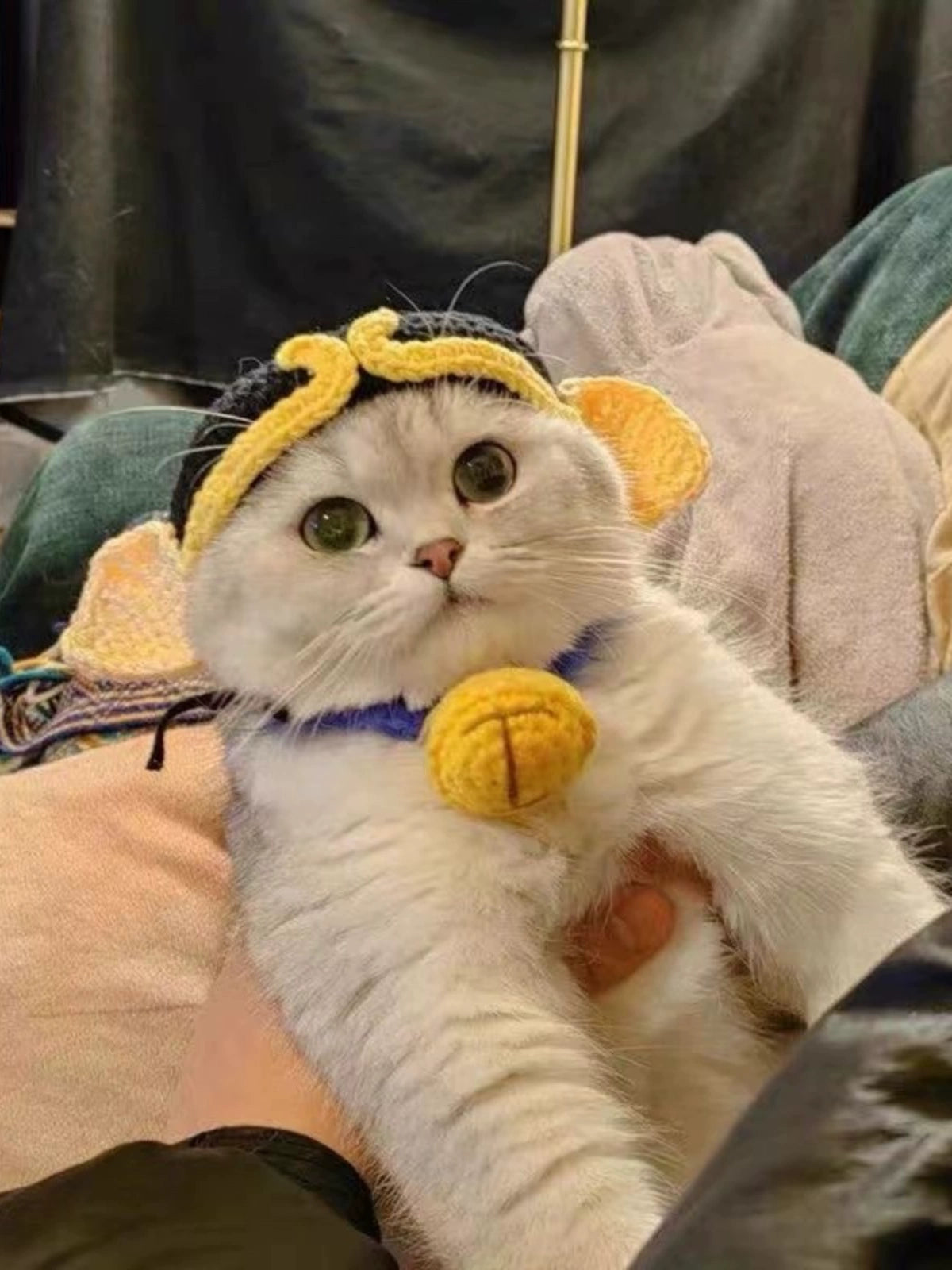 Cat Hat Lion Head Cover Pig Eight Ring Lesser Panda Hat Cute Heattech Winter Decoration Disguise Cap Pet Hat Petneeds Space