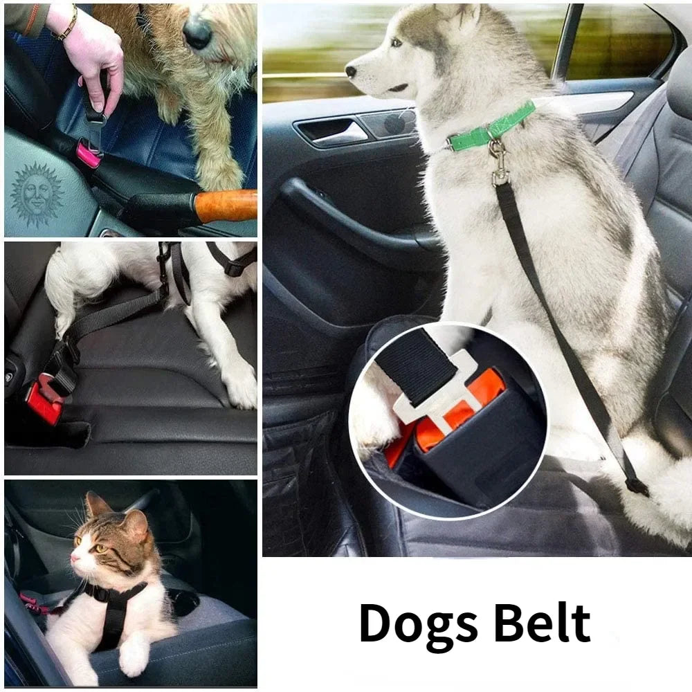 Adjustable Pet Cat Dog Car Seat Belt Pet Seat Vehicle Dog Harness Lead Clip Safety Lever Traction Dog Collars Dogs Accessoires Petneeds Space