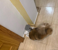 Customer photo 2 for review 4